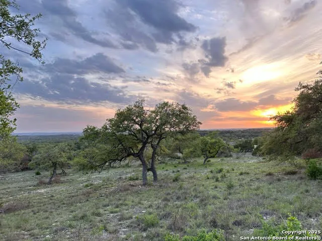 1074 Madrone Road Fischer, TX 78623